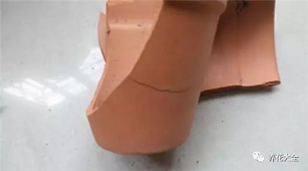 扔花盆有什么忌讳