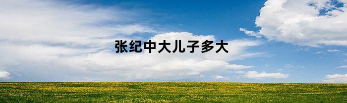张纪中大儿子多大(张纪中大儿子多大年龄)