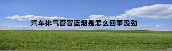 汽车排气管冒蓝烟是怎么回事没劲(汽车排气孔冒蓝烟)