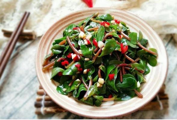 马齿苋清炒怎么做好吃?