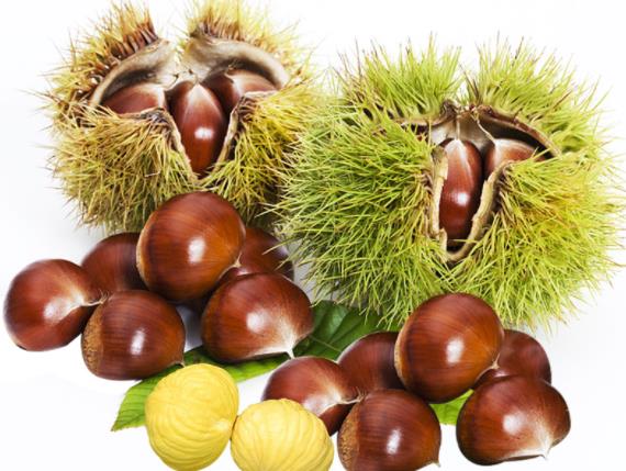 板栗吃多久才补肾怎么吃板栗补肾(听说吃板栗可以补肾是这样吗.?)
