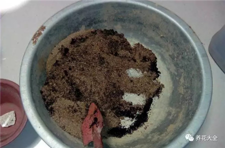 扔花盆有什么忌讳