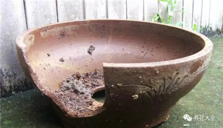 扔花盆有什么忌讳