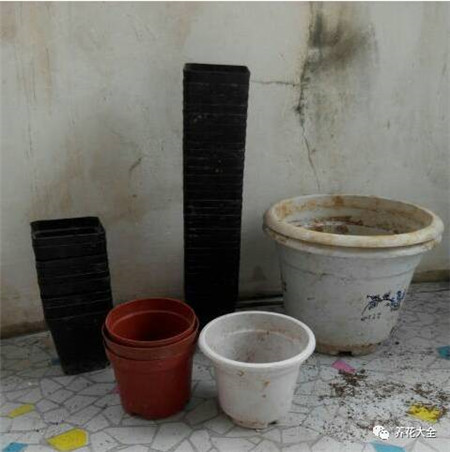 扔花盆有什么忌讳