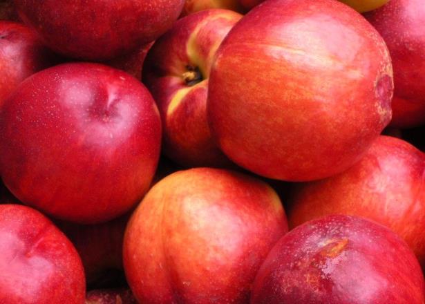 油桃和香蕉能一起吃吗油桃和香蕉哪个热量高(油桃和香蕉可以一起吃嘛)