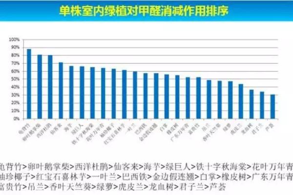 2种花一起种吸甲醛更快更猛多活20年!(哪种花吸甲醛好)