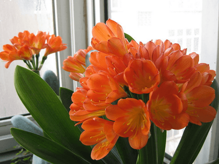 雾霾天气室内怎么消毒