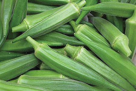 黄秋葵的种植方法和季节