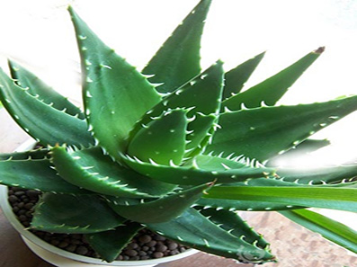 雾霾天气室内怎么消毒