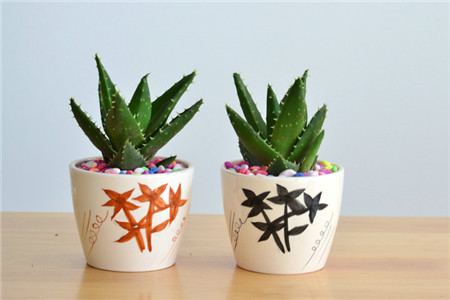 芦荟的施肥方法(怎么给芦荟施肥芦荟施什么肥好)