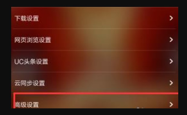 uc浏览器自动安装软件在哪关啊