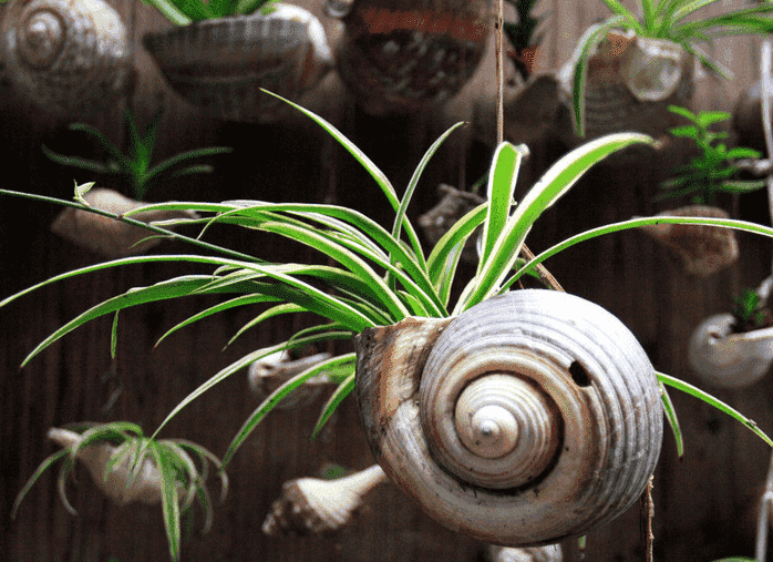 雾霾天气室内怎么消毒