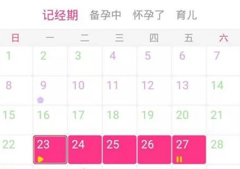 美柚的排卵日是什么意思