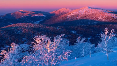 武汉2020年冬天会冷吗