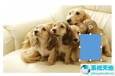 ppt如何将图片打马赛克(ppt里的图片怎么打马赛克)