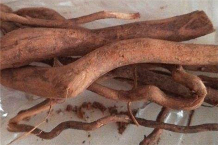 黄芪丹参泡水有什么功效能减肥吗怎么吃