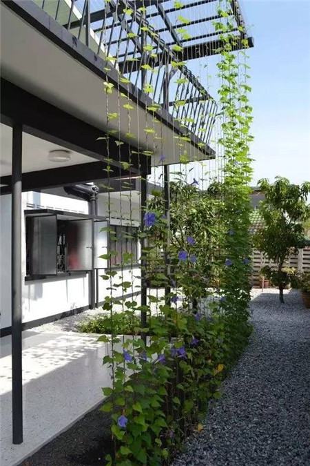 用一根线可以画出一朵花