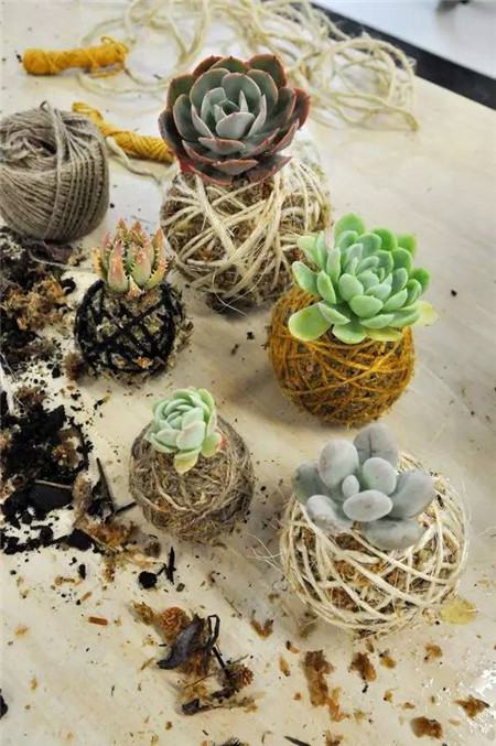 用一根线可以画出一朵花