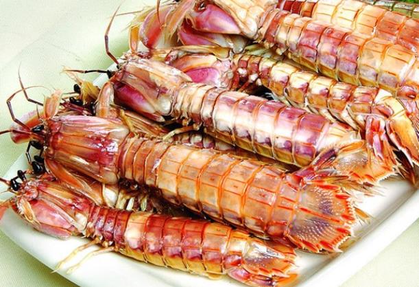 皮皮虾怎么保存才新鲜放入冰箱冷藏蓄水养殖(皮皮虾怎么冷藏储存)