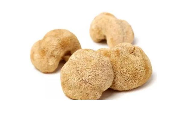 猴头菇不能与什么同食呢猴头菇隔夜还能吃吗(猴头菇汤可以隔天加热吃吗)