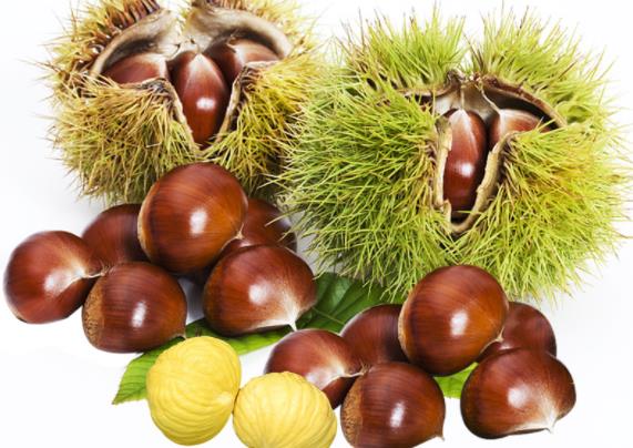 板栗煲鸡可以放红枣和枸杞吗