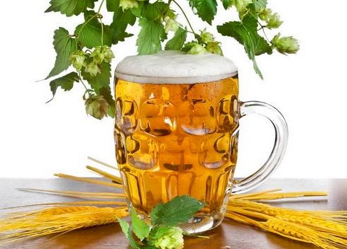 吊兰浇什么水可以变的土壤疏松