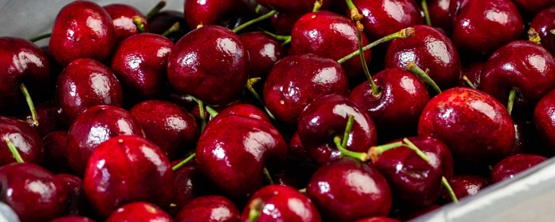 车厘子发苦怎么回事清洗车厘子的注意事项(车厘子很新鲜但是发苦是喷了什么吗)