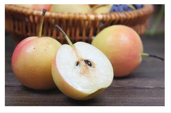 食用南果梨上火还是下火南果梨泡白酒能泡酒吗(南果梨泡酒放多少糖)