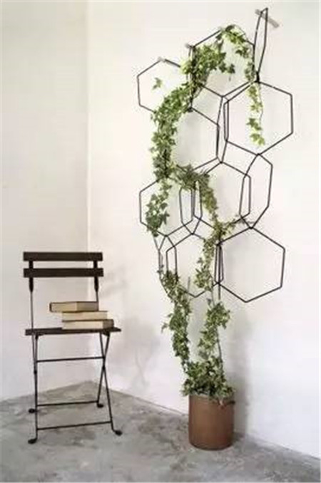 用一根线可以画出一朵花