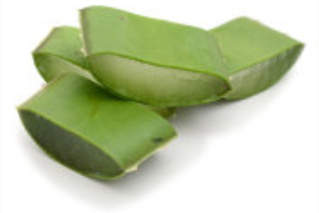 芦荟祛斑的正确方法