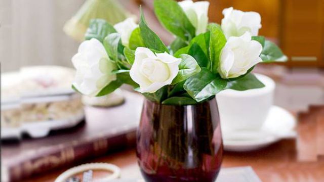 栀子花水培方法栀子花水培步骤及养护注意事项(栀子花水培会开花吗)