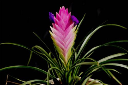 临沂到诸城的客车时刻表