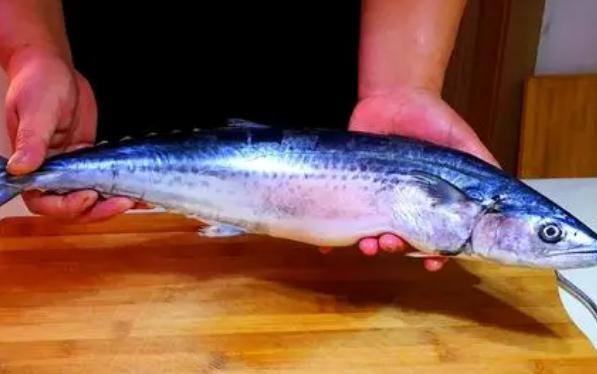 鱼肉水饺用什么鱼好