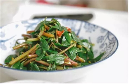 马齿苋怎么做吃