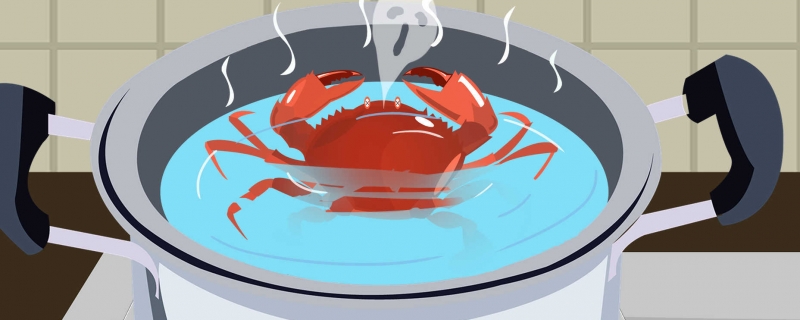 煮螃蟹要放盐吗螃蟹是蒸还是煮好(煮螃蟹需不需要放盐)