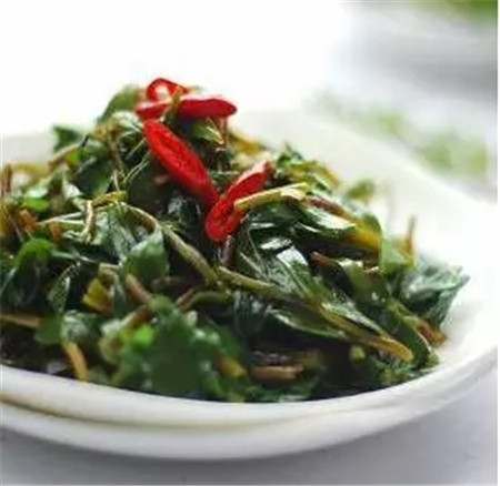 马齿苋怎么做吃
