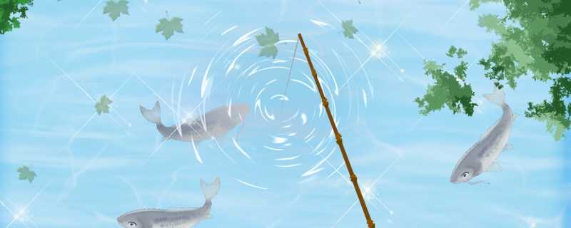 国内品牌鱼竿排行榜各大品牌上榜理由一览(国内大品牌鱼竿排名)