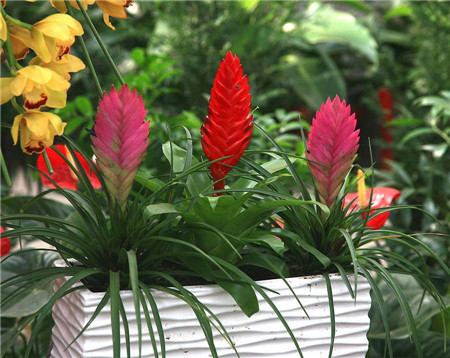 临沂到诸城的客车时刻表