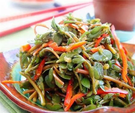 马齿苋怎么做吃