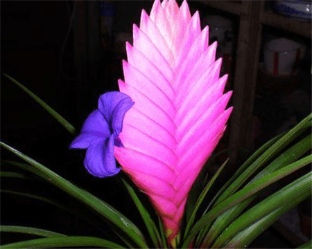 临沂到诸城的客车时刻表