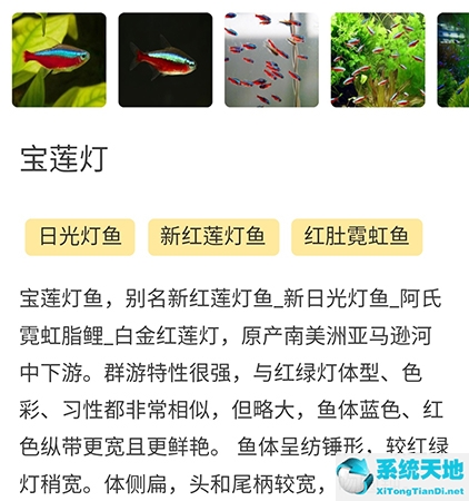 泡泡水族怎么改名字(泡泡水族怎么删除帖子)