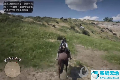 荒野大镖客2如何抓野马(荒野大镖客2怎么驯服野外的马)