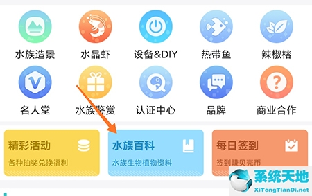 泡泡水族怎么改名字(泡泡水族怎么删除帖子)