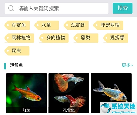 泡泡水族怎么改名字(泡泡水族怎么删除帖子)