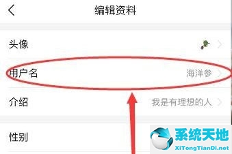 今日头条账号信息修改(今日头条的用户名可以更改吗?)