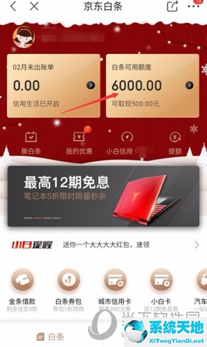 京东开通白条怎么开通(京东上面怎么开通白条)