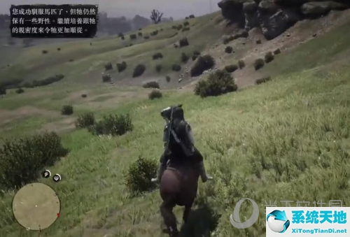 荒野大镖客2如何抓野马(荒野大镖客2怎么驯服野外的马)