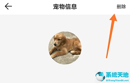 怎样取消qq宠物里的宠物(宠物绑定了设备无法删除)