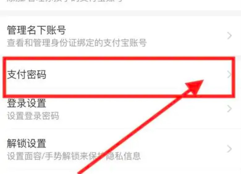 支付宝更换支付密码在哪里设置