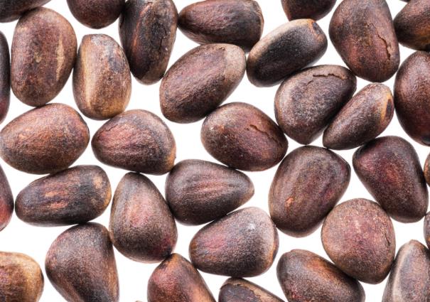 松子和腰果哪个更补肾滋阴养液补益气血润燥滑肠(松子和腰果哪个营养价值高)